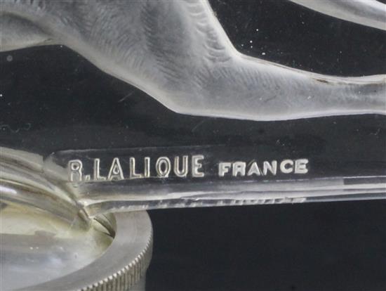 Levrier/Greyhound. A glass mascot by René Lalique, introduced on 14/3/1928, No.1141 Height with mount 10.5cm. overall 17.5cm.